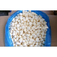 Whole IQF Frozen Natural Garlic